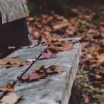 Dlaczego jesień sprzyja depresji i czym objawia się depresja sezonowa?